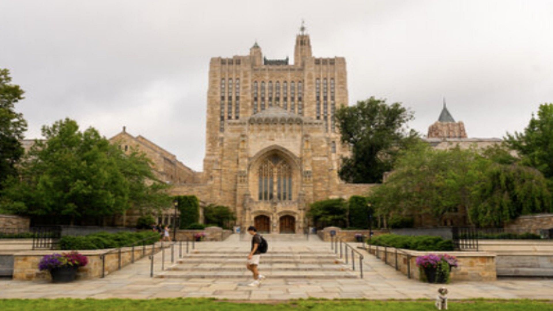 Yale University (Image via Lil Newsy/X)