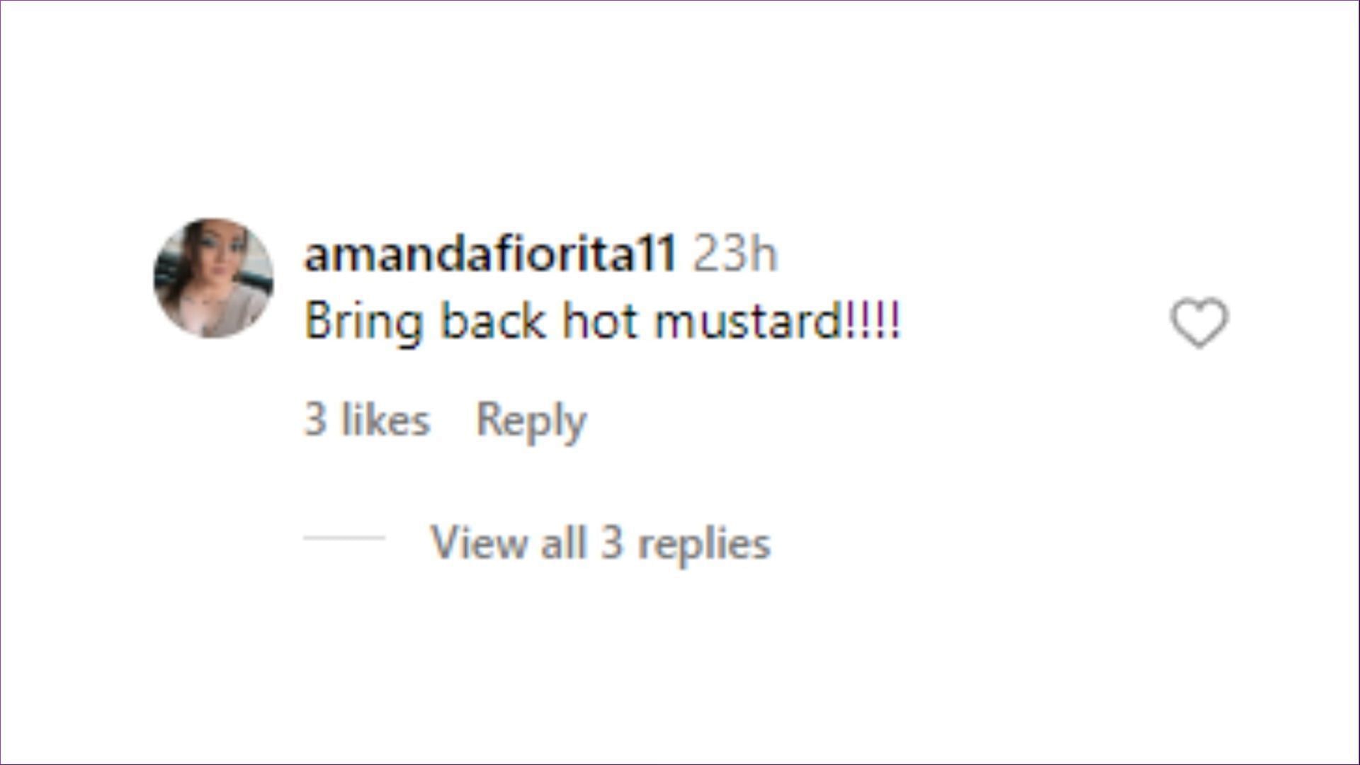 Comment by the user @amandafiorita11 on Instagram (Image via Instagram)