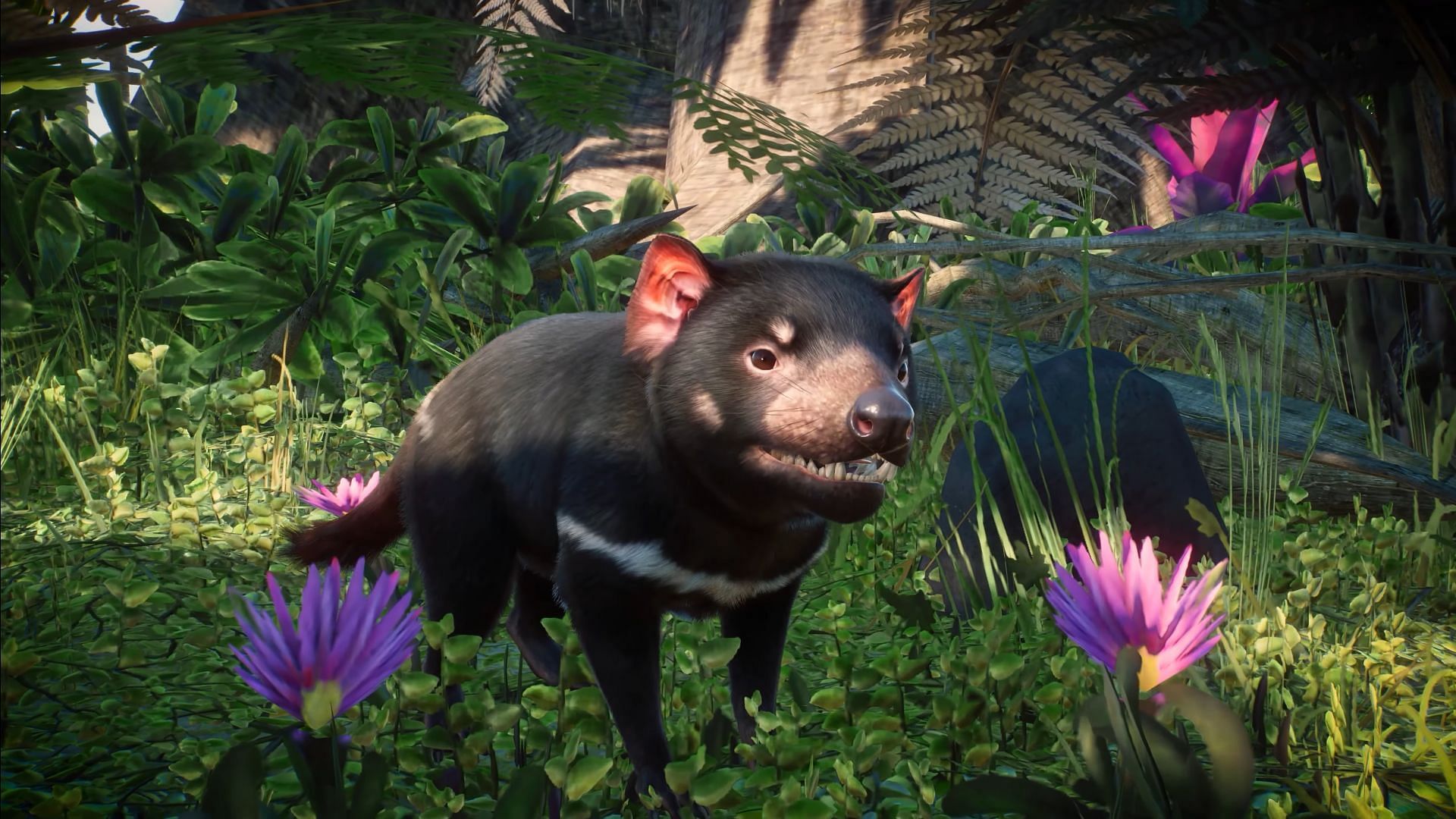 The Tasmanian Devil are here (Image via Planet Zoo)
