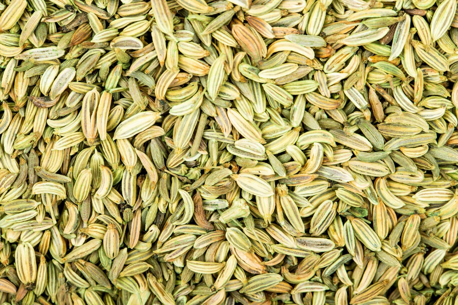 Fennel is often used as a mouth-freshener because of its ability to fight mouth odor (Image by Stockking on Freepik)