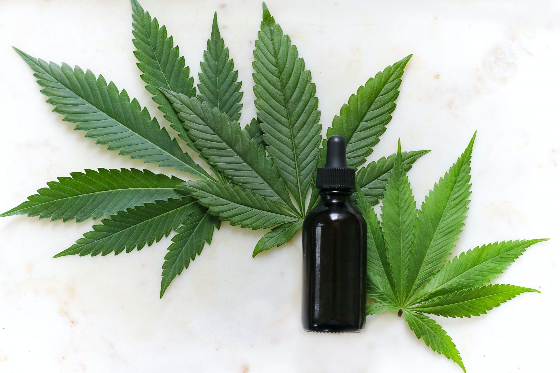 CBD oil can be potentially harmful to the heart. (Image via Unsplash/Kimzy Nanney)