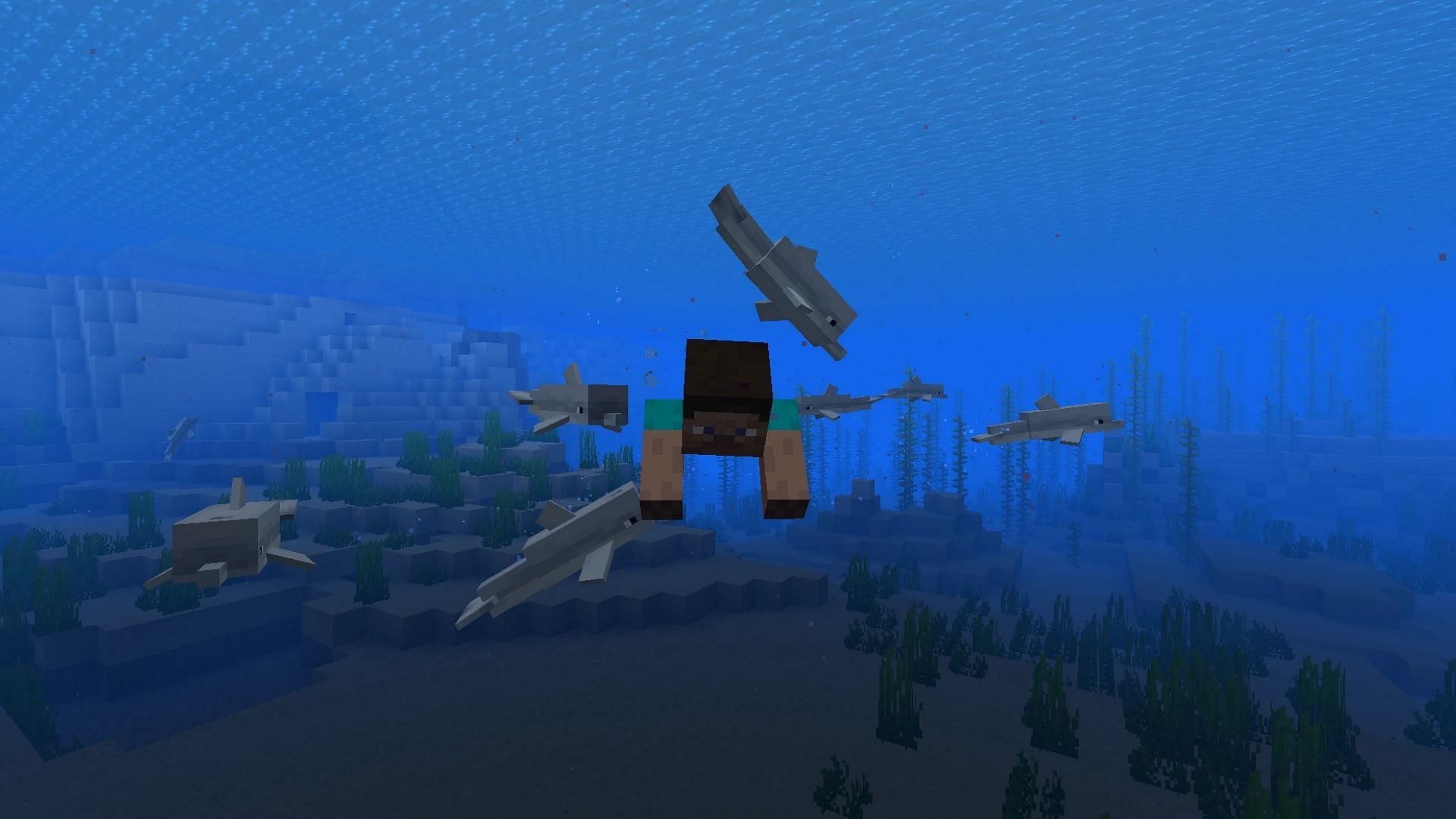 Dolphins were once breedable in Minecraft Pocket Edition. (Image via Mojang)
