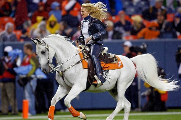 Miles, the Denver Broncos mascot, watches the Broncos play the