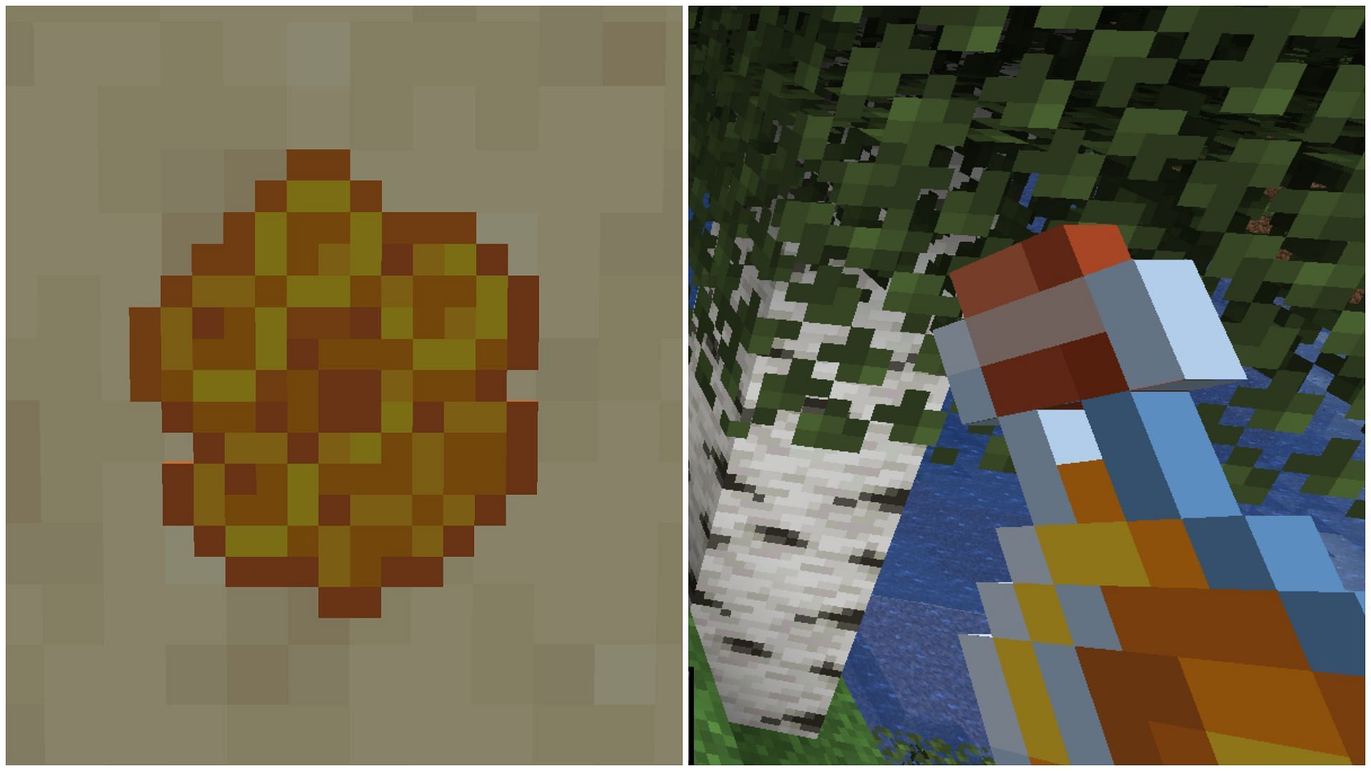 Honey and honeycomb can be obtained from bee nests and beehives in Minecraft (Image via Sportskeeda)