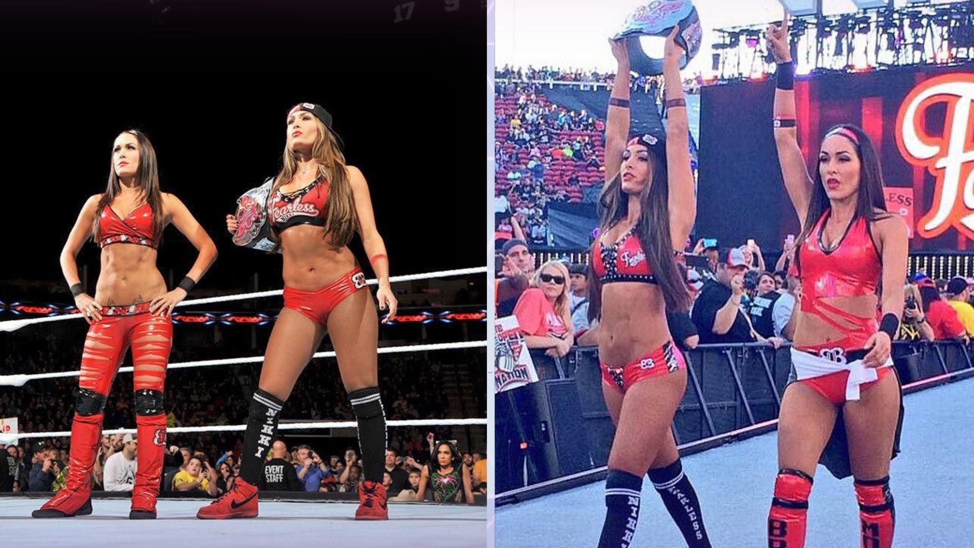 The Bella Twins in action                          