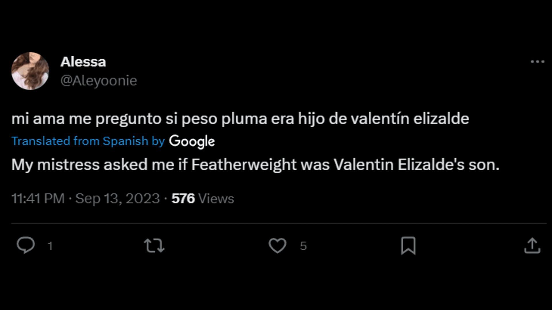 A netizen saying that Pluma may be Valentin's son. (Image via X/Alessa)