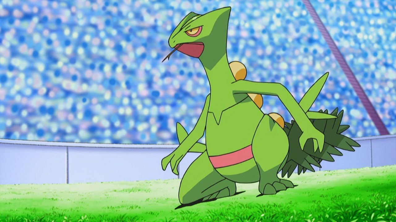 Sceptile as seen in the anime (Image via The Pokemon Company)