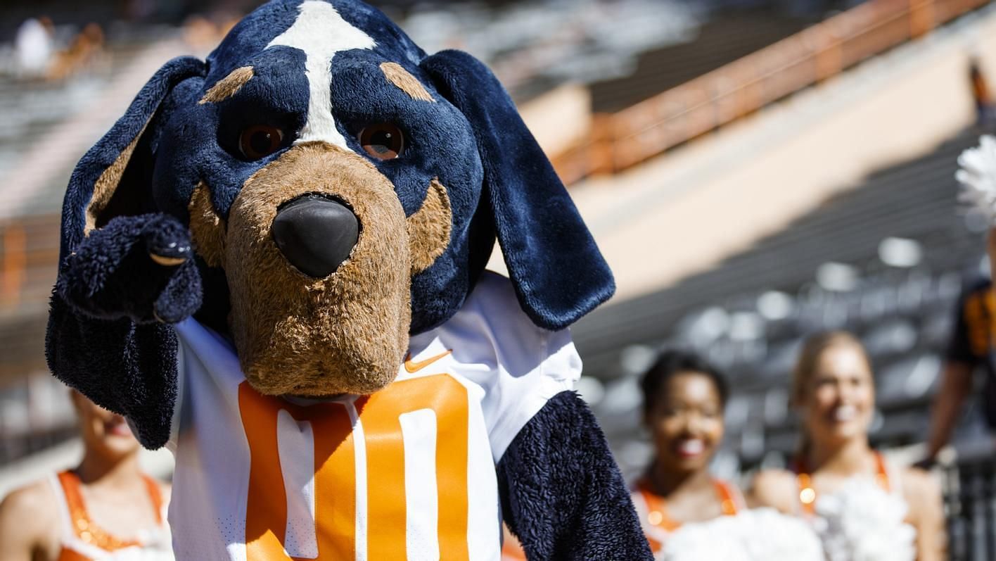 Tennessee Mascots Smokey