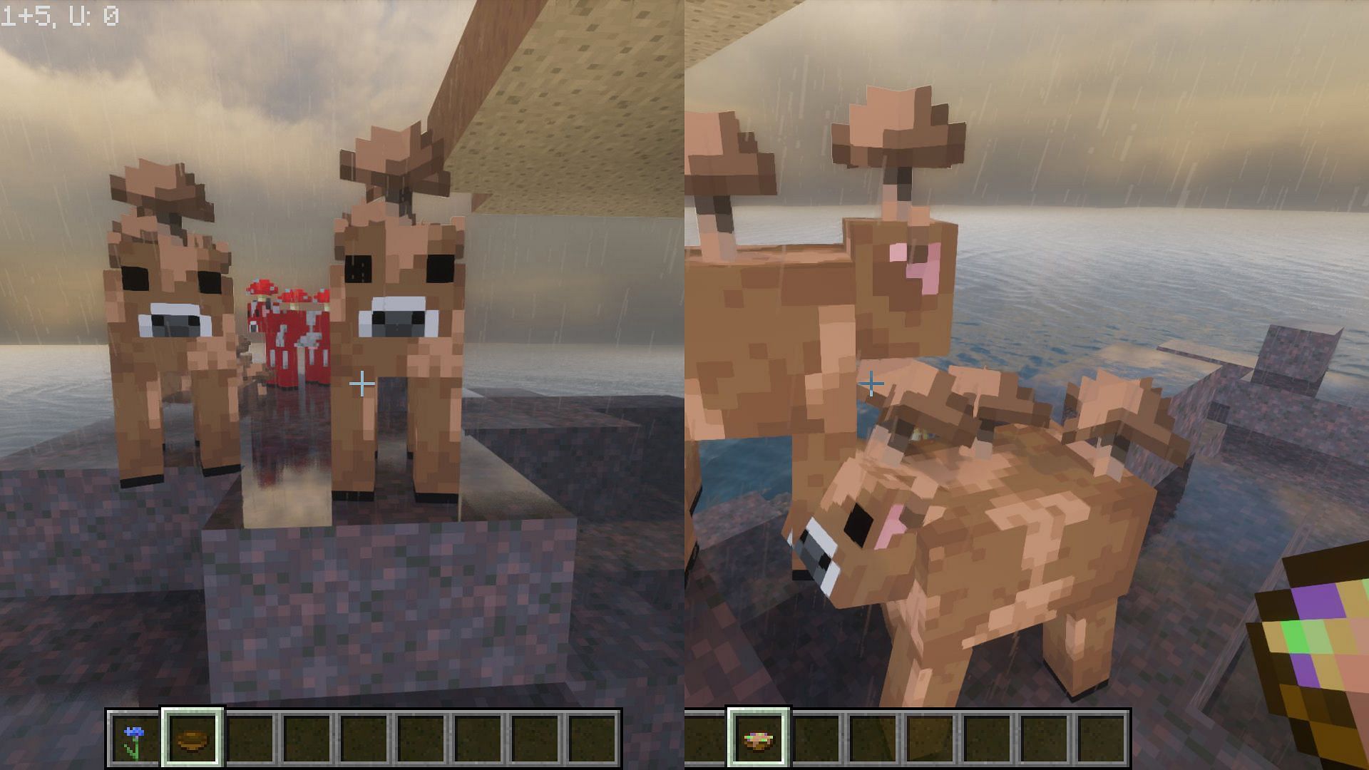 Brown mooshroom cows give something suspicious (Image via Mojang)