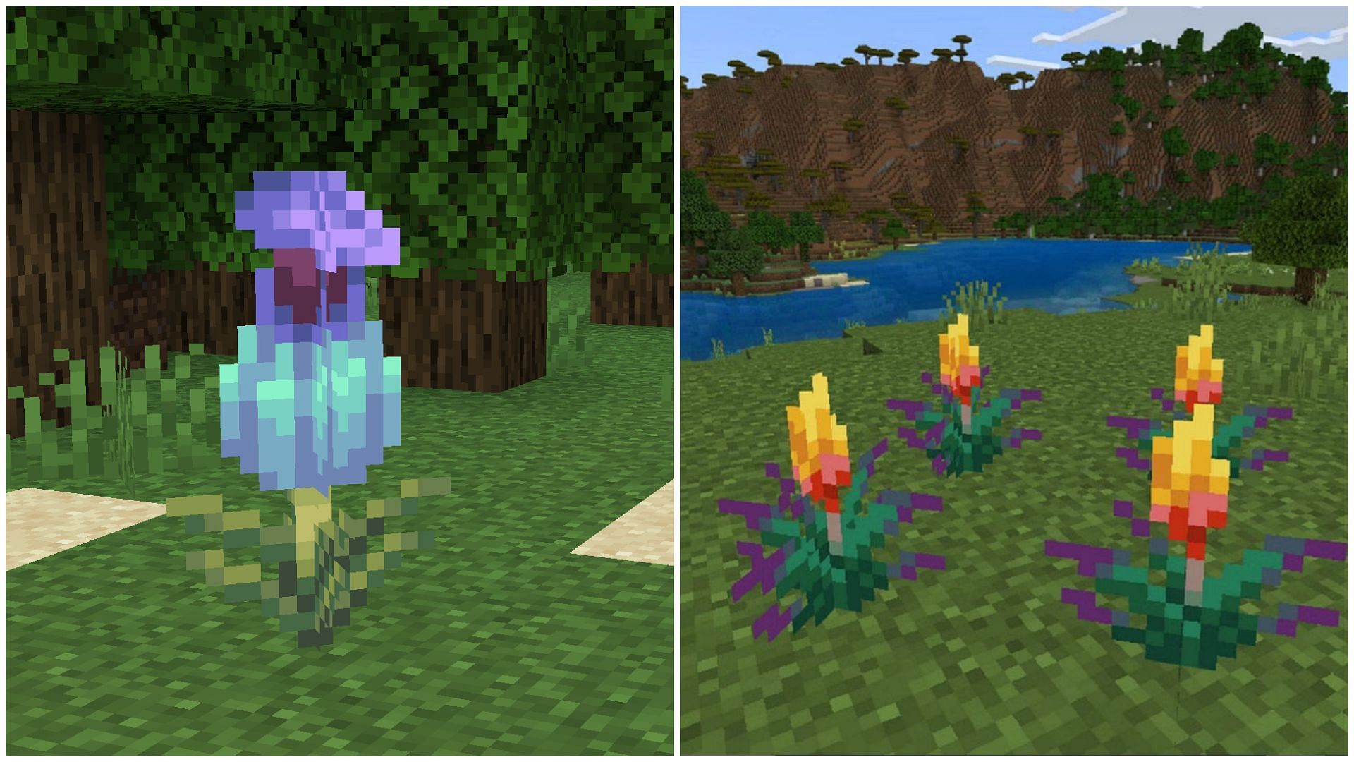 Both the new plants can have some extra features attached with them in Minecraft (Image via Mojang)