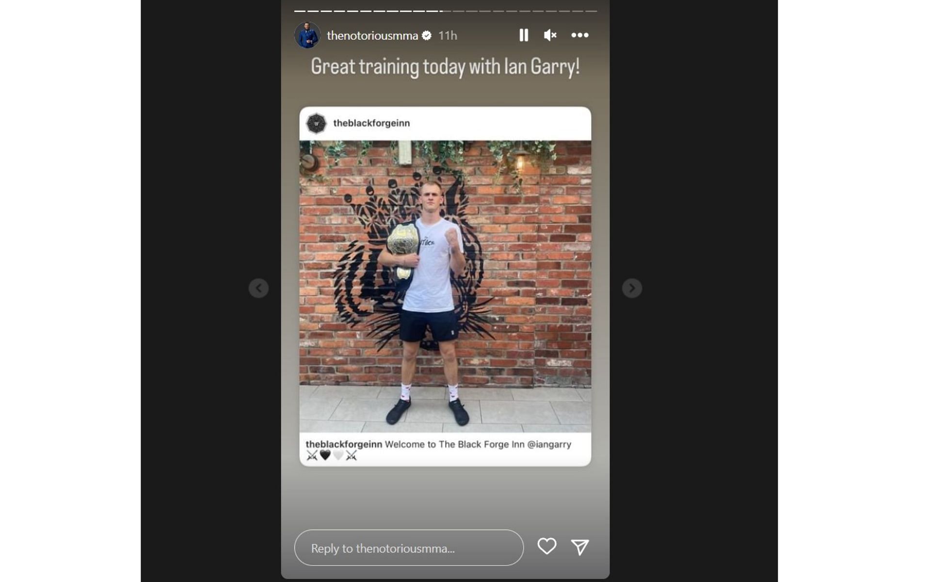Screenshot of McGregor&#039;s Instagram story