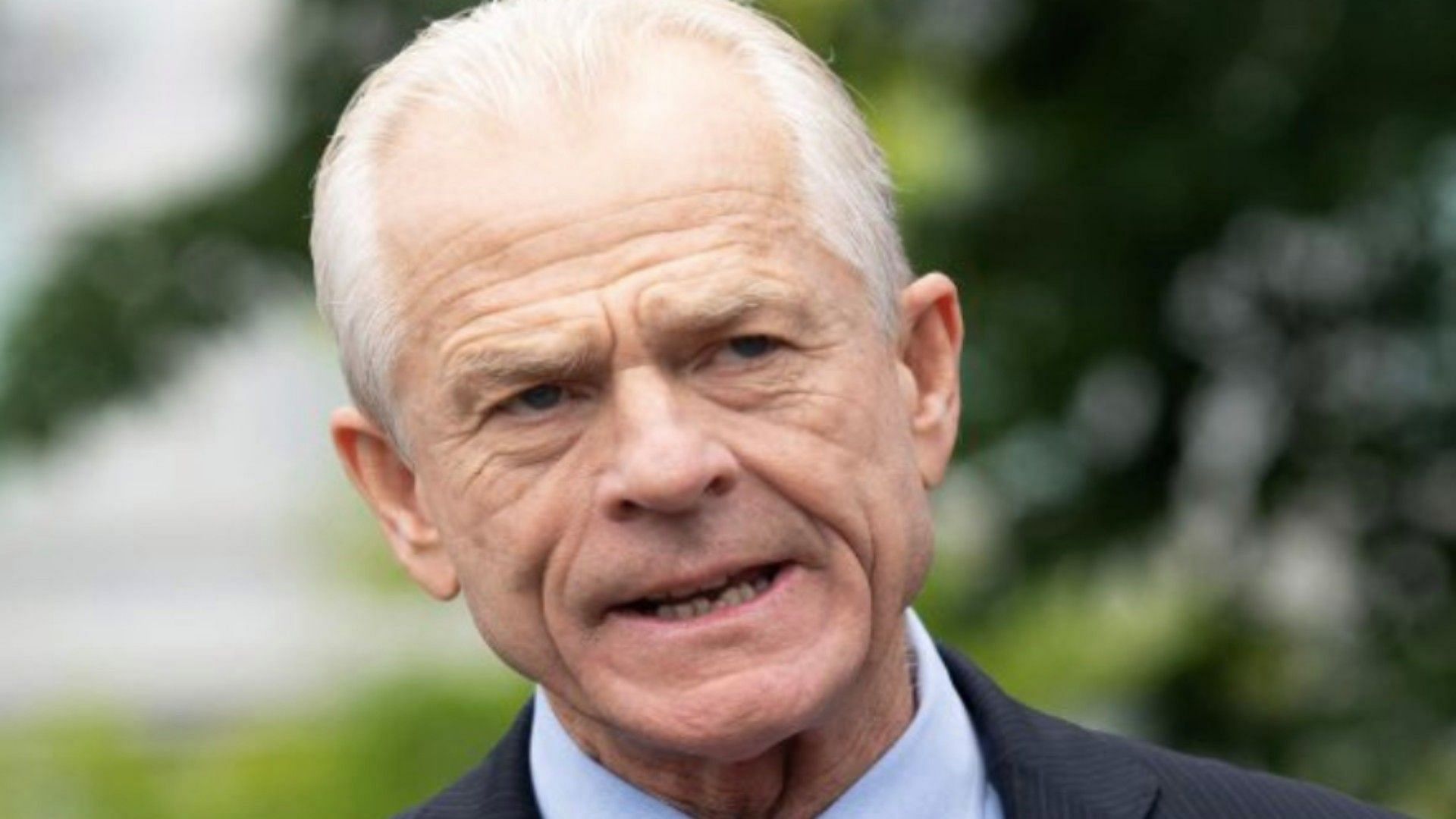 Peter Navarro (Image via Jon Cooper/X)