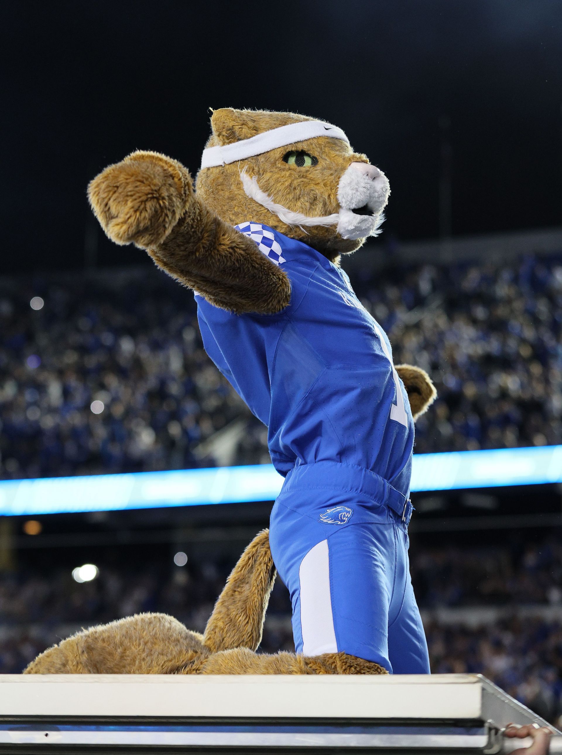 Kentucky Basketball Mascot