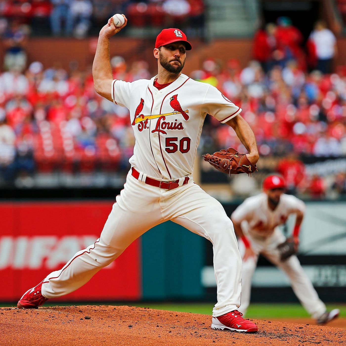 Evercast By Ardent MLB St. Louis Cardinals India