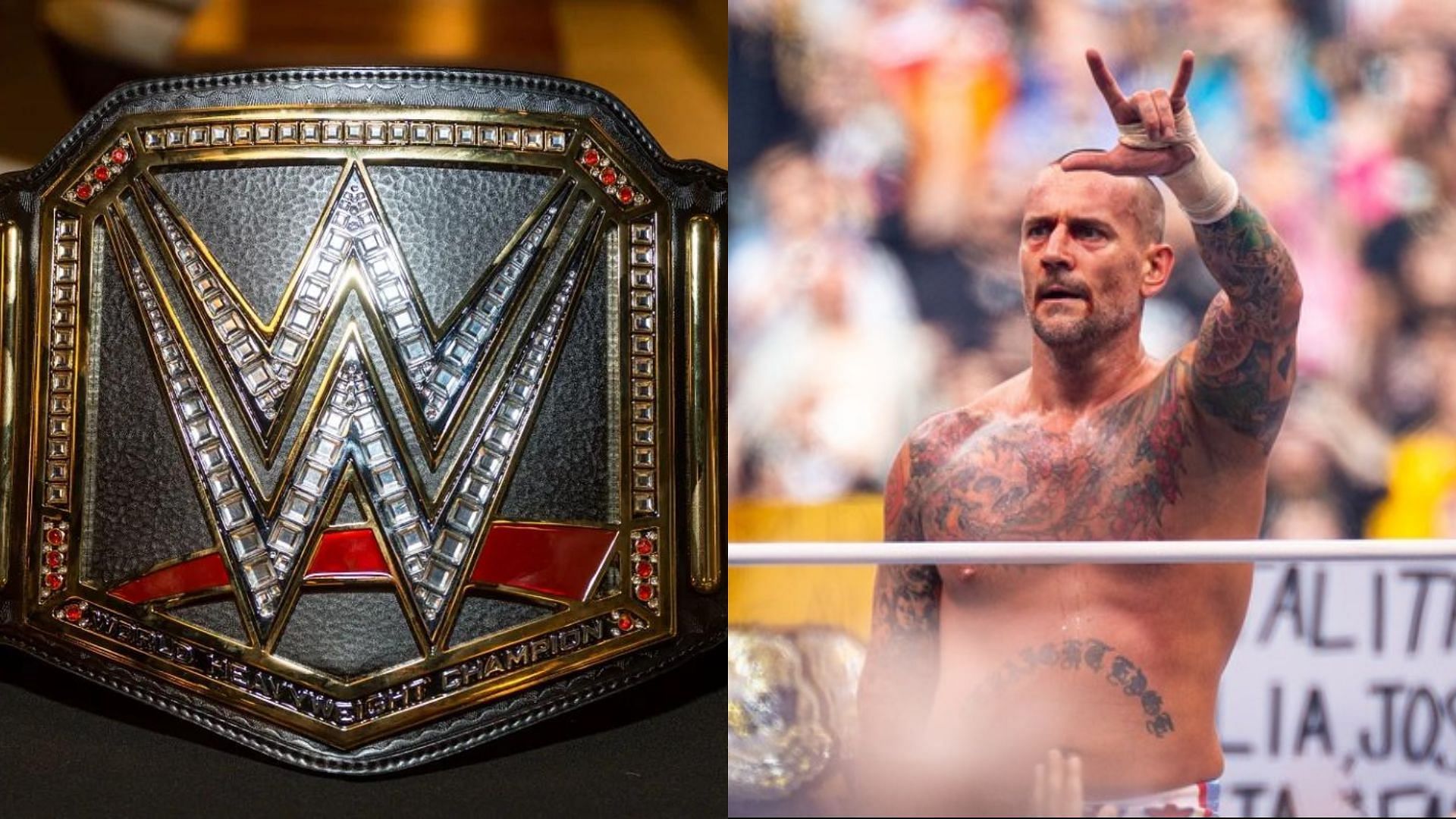 The WWE Championship and CM Punk