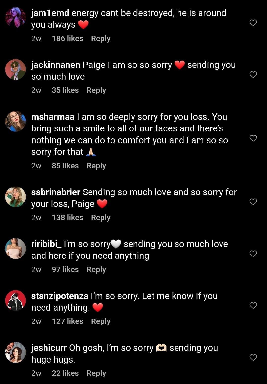 Netizens share their condolences following Conor Vislay&rsquo;s death (Image via paigeagallagher/Instagram)