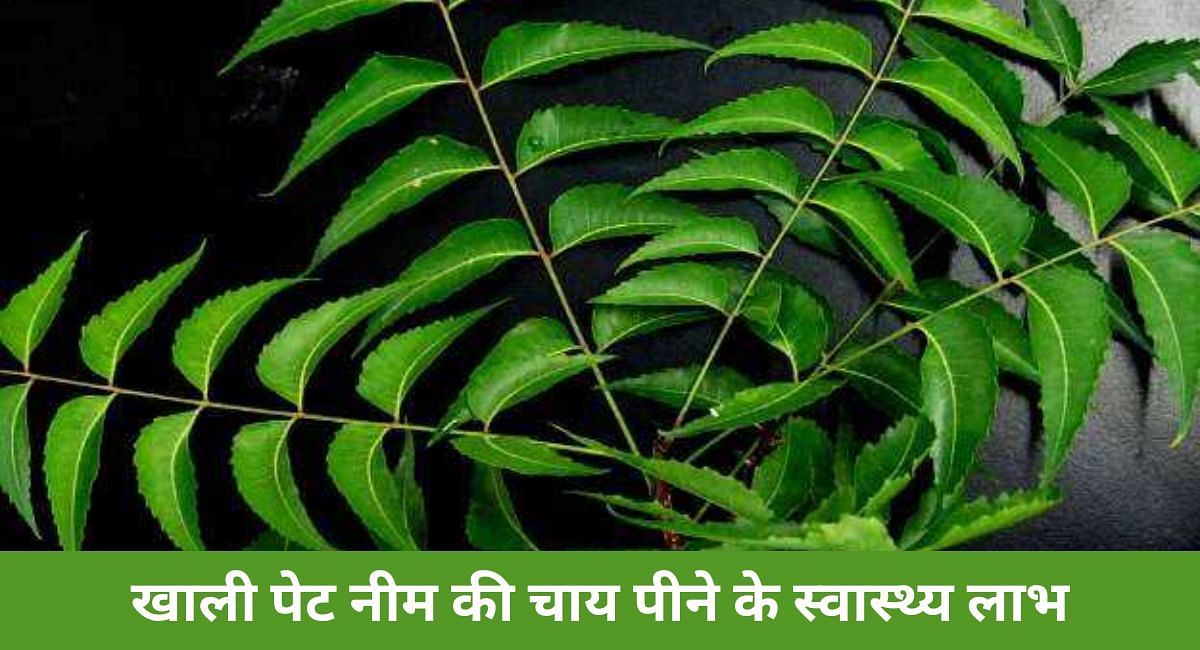 खाली पेट नीम की चाय पीने के स्वास्थ्य लाभ(फोटो-Sportskeeda hindi)