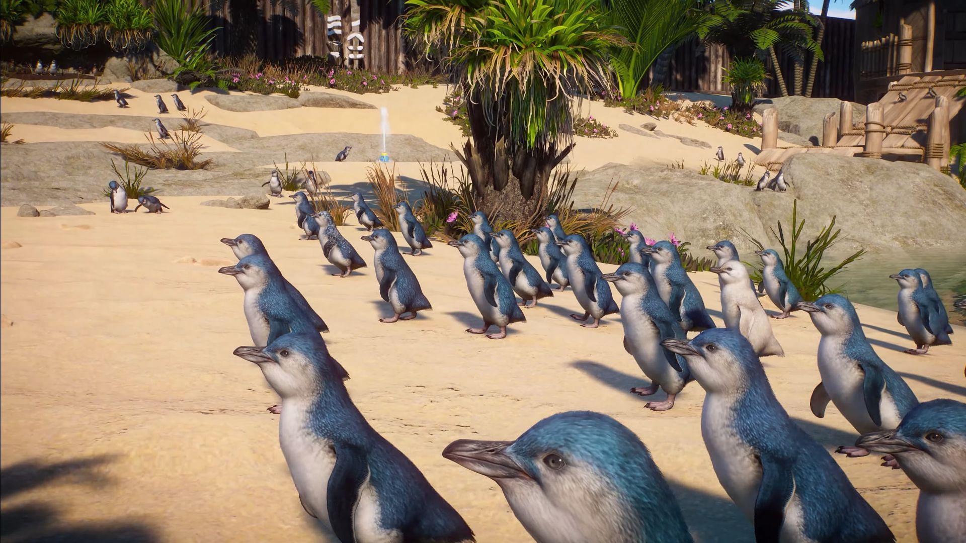 The Little Penguin (Image via Planet Zoo)