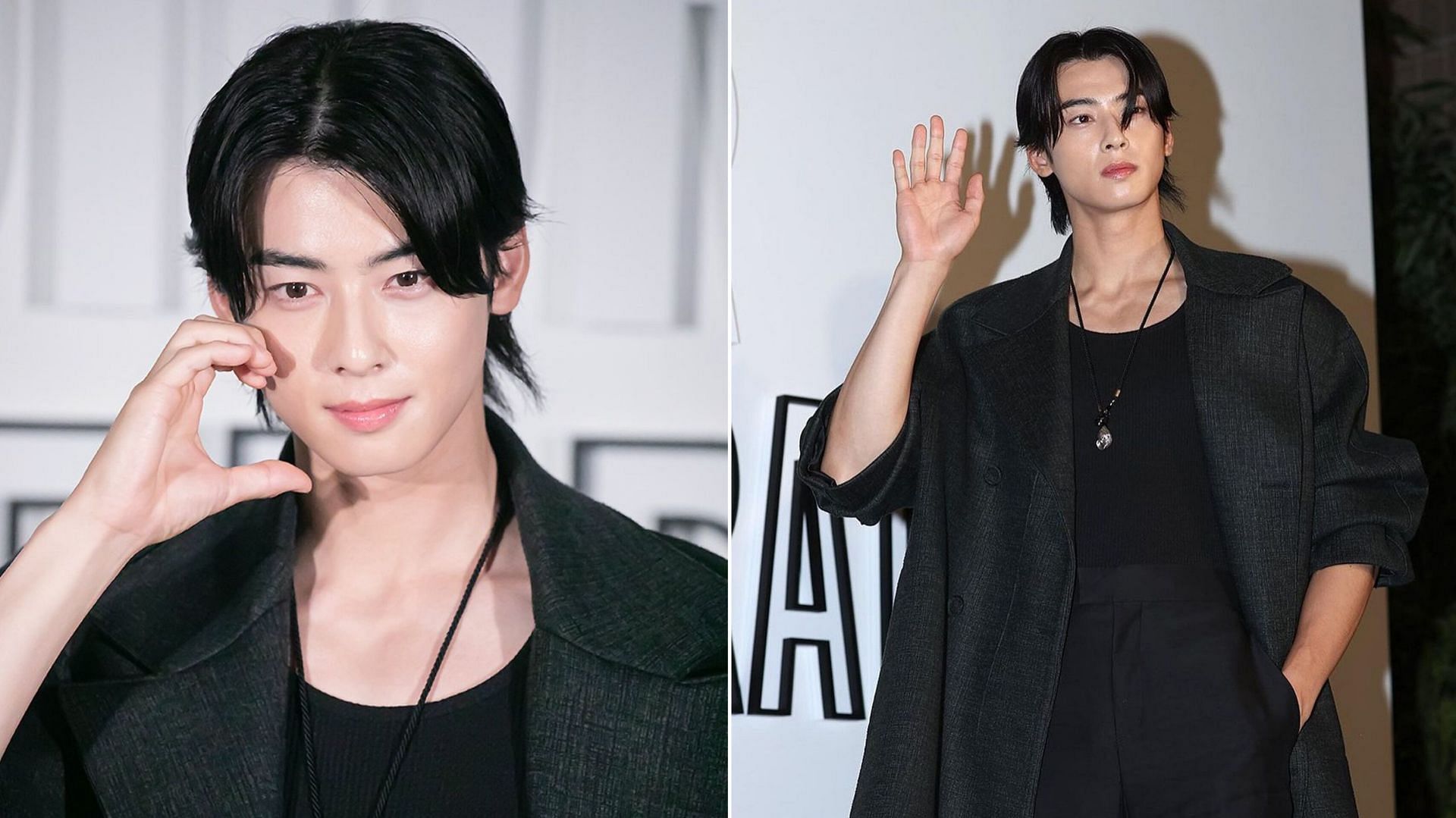 YOU ARE SUCH AN ART: Cha Eun-woo turns heads at Lady Dior