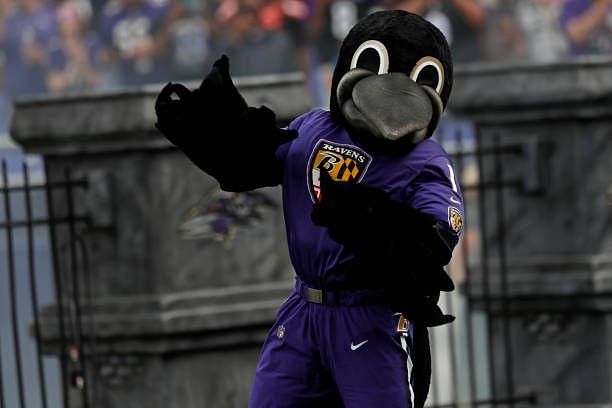 What is the Baltimore Ravens Mascot's Salary?
