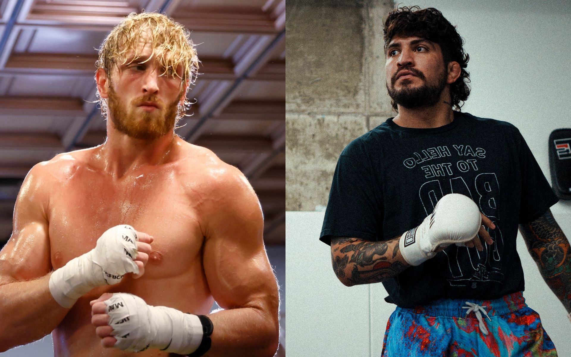 Dillon Danis Vs. Logan Paul: Dillon Danis' Insane Trash-talk May End Up ...