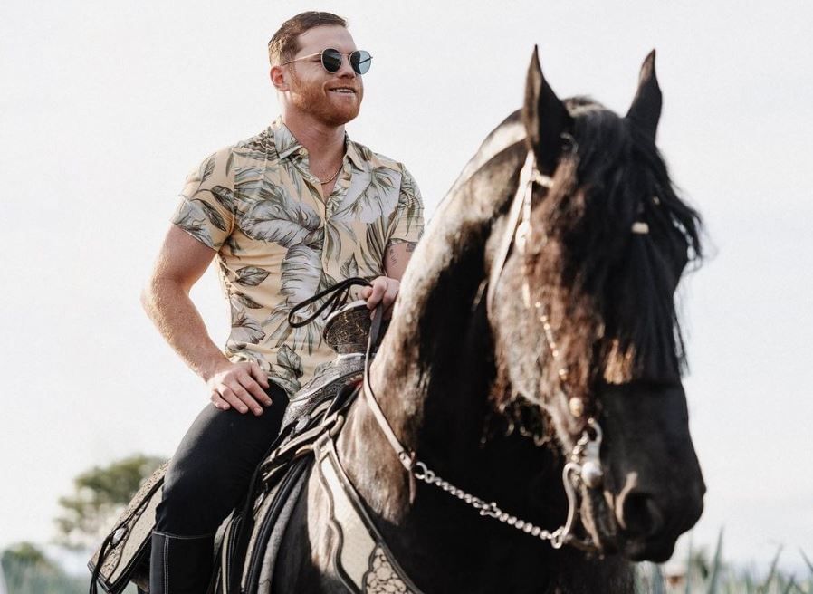 Canelo Alvarez Net Worth 2024, Salary and Endorsements