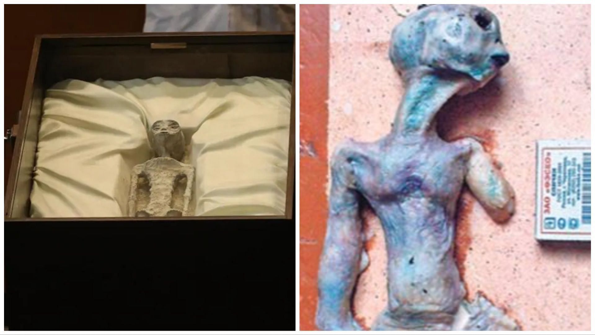 The body that was presented in Mexico (Left) vs the fake alien body found in Siberia (Right) (Image via Associated Press)