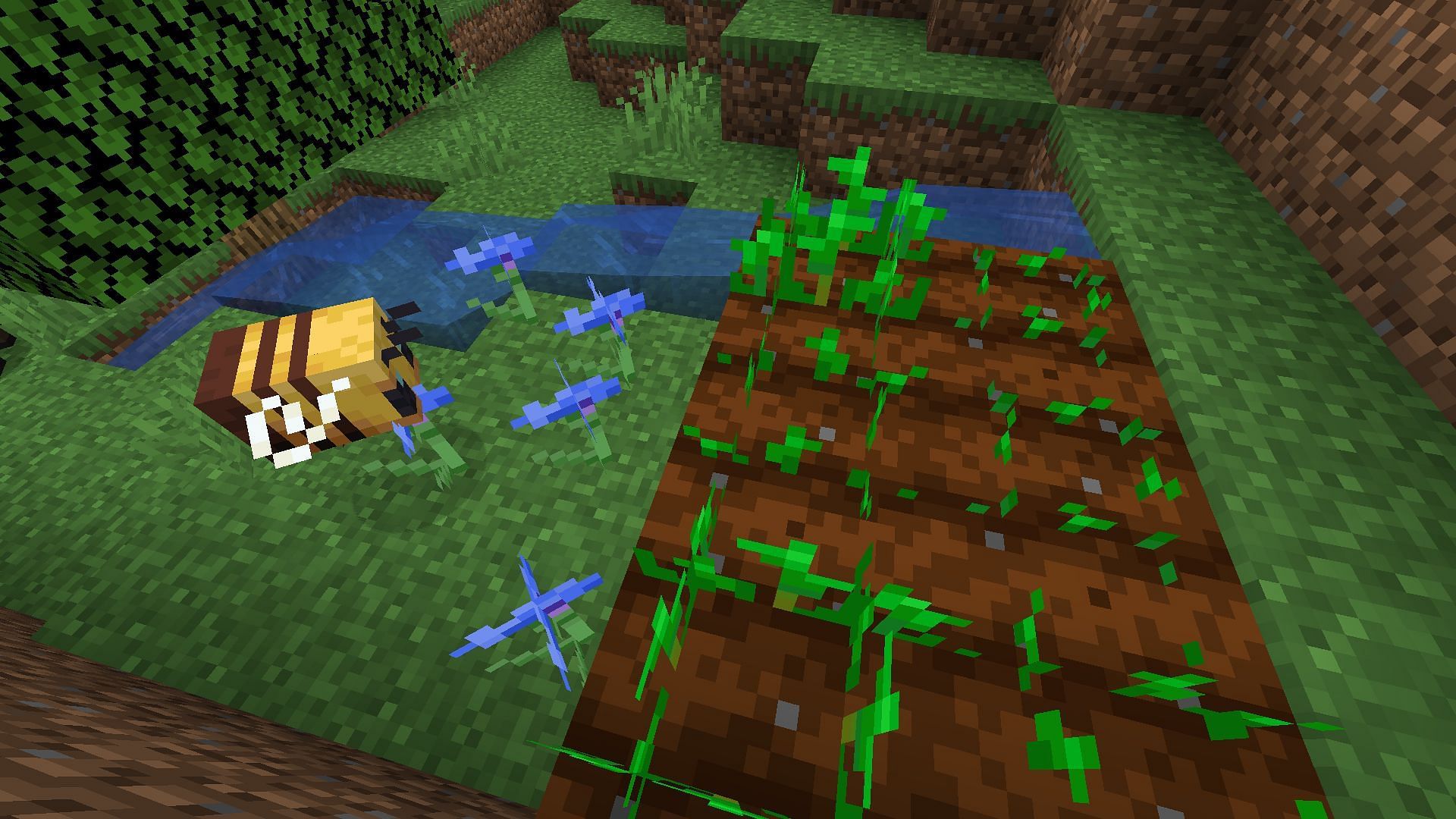 Bees with pollen can fertilize crops and catalyze their growth in Minecraft (Image via Mojang)