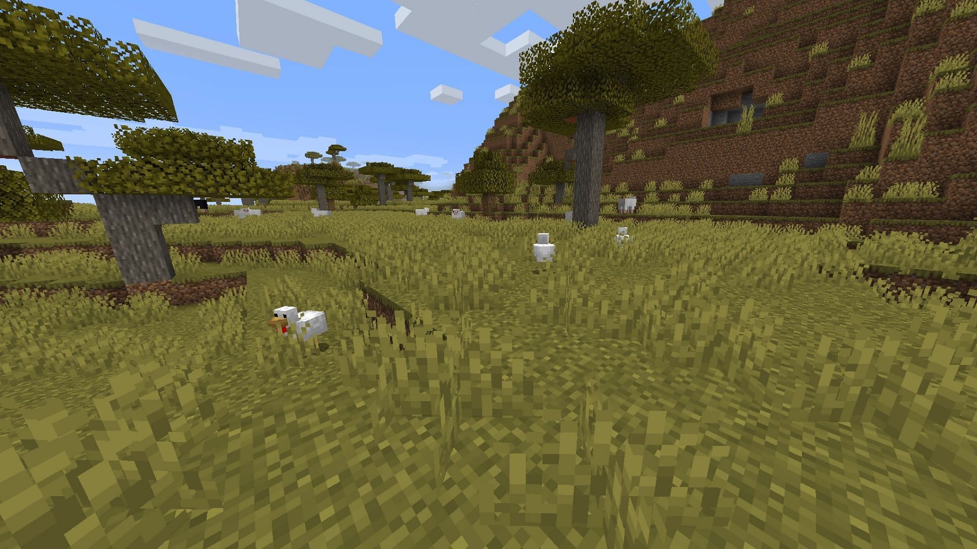 Savanna Biome can get many new mobs in Minecraft (Image via Mojang)