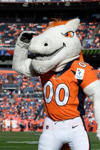 Who Are Denver Broncos Mascot Miles And Thunder