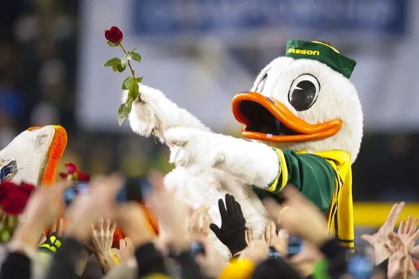 Mascots and On-Field Incidents: A History