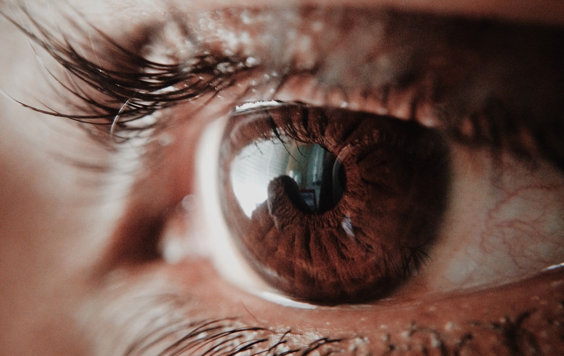 Protecting against retinal degeneration is one of the biggest benefits of taurine. (Image by Subin via Pexels)