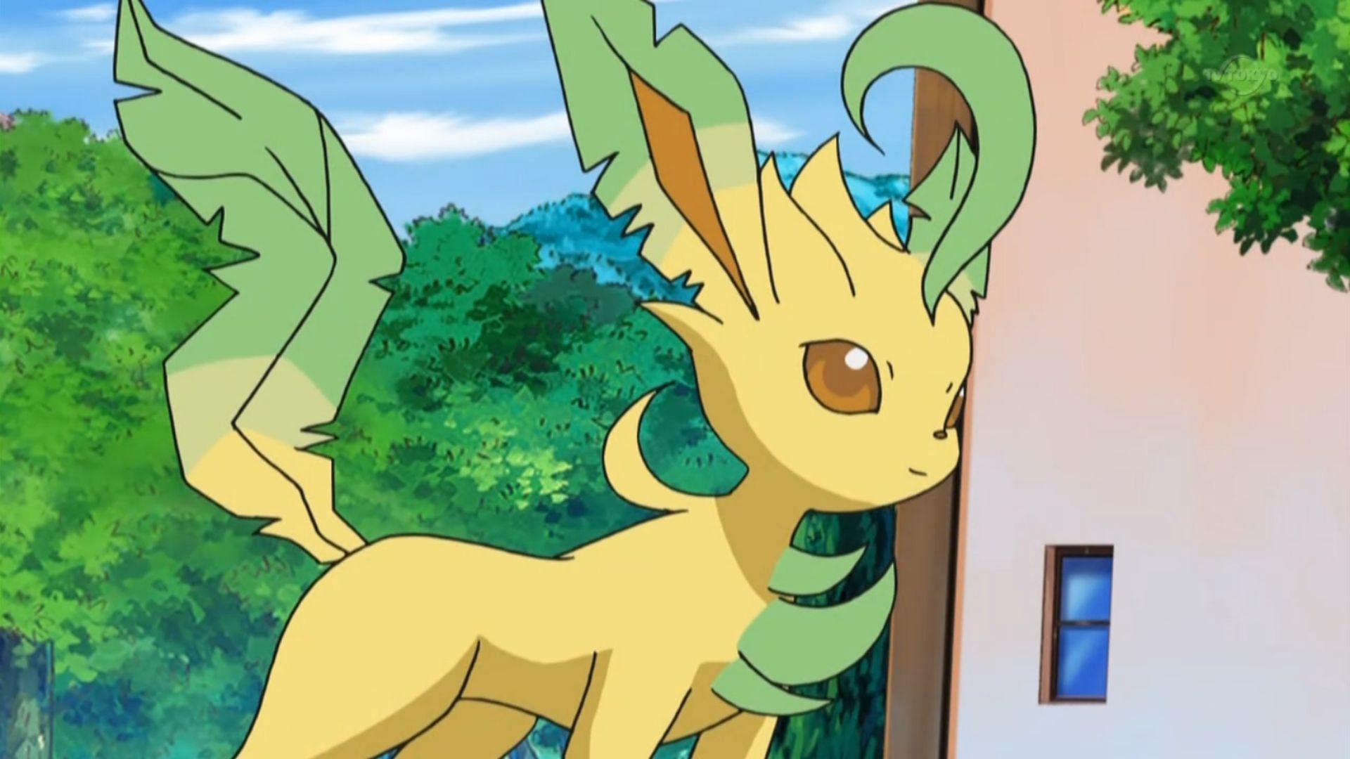 Leafeon in the anime (Image via TPC)