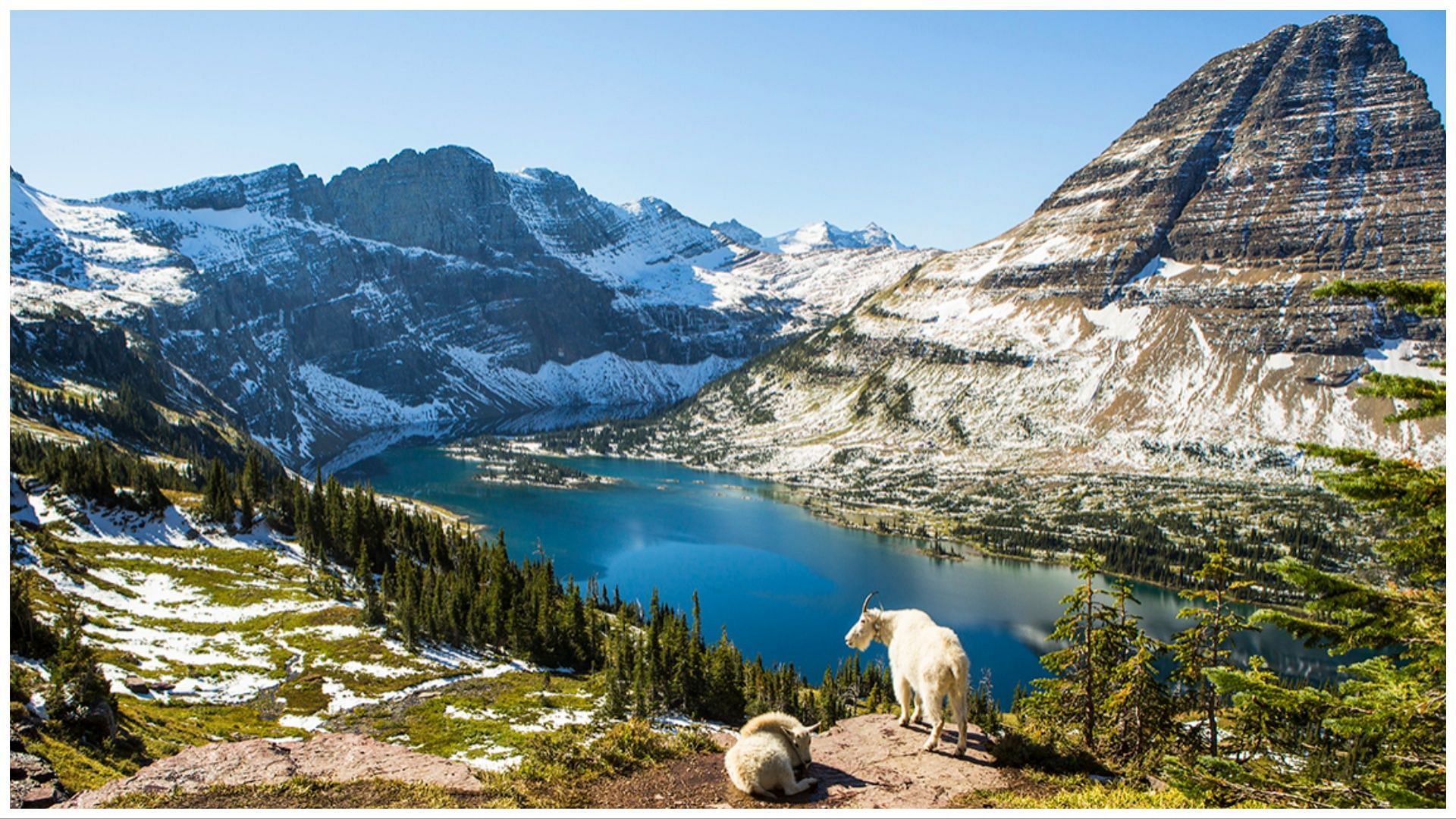 The first search was cut short by harsh weather conditions (image via AAR/Glacier National Park)