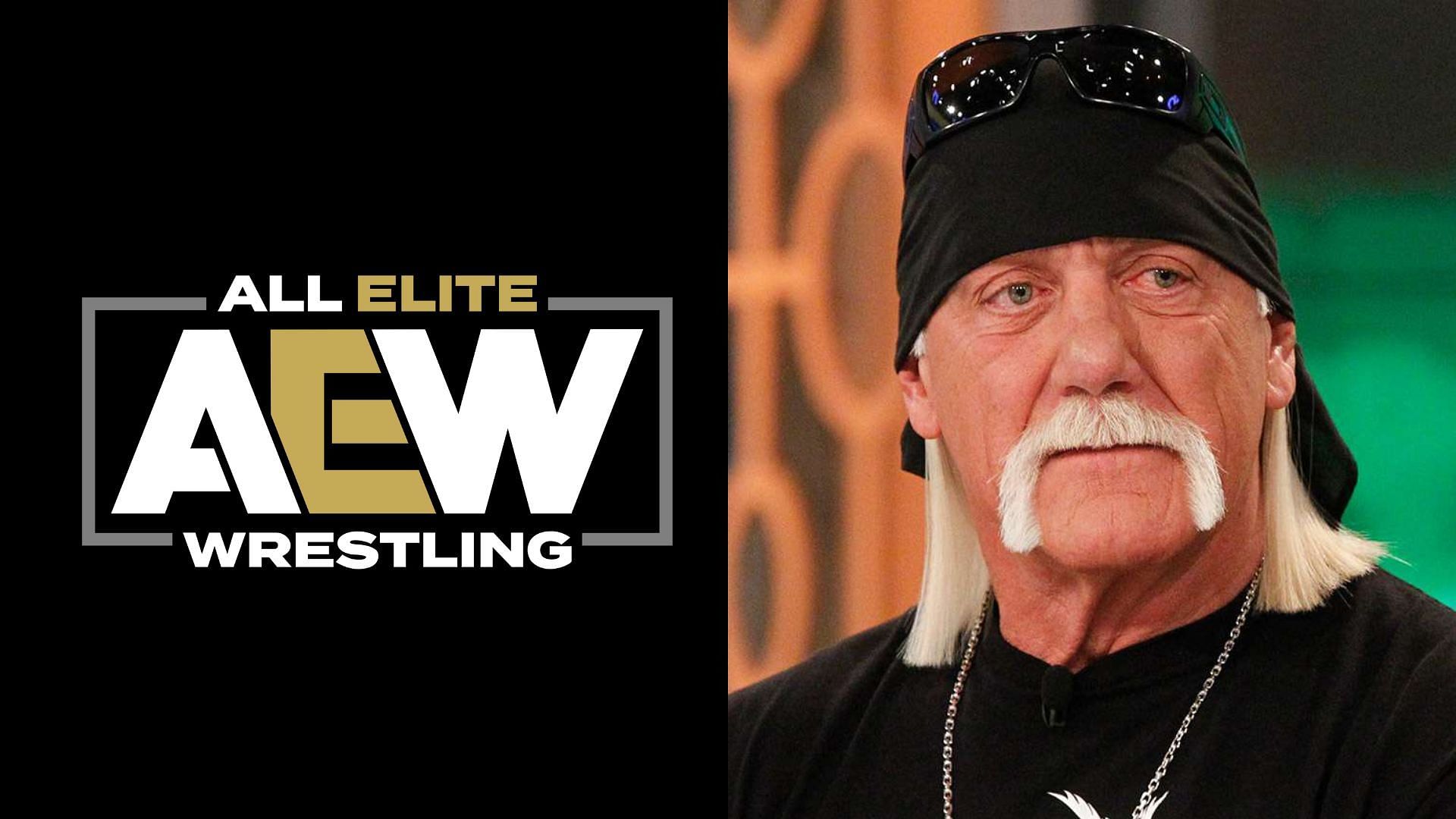 Hulk Hogan's friend and former WCW star makes AEW debut on Collision ...