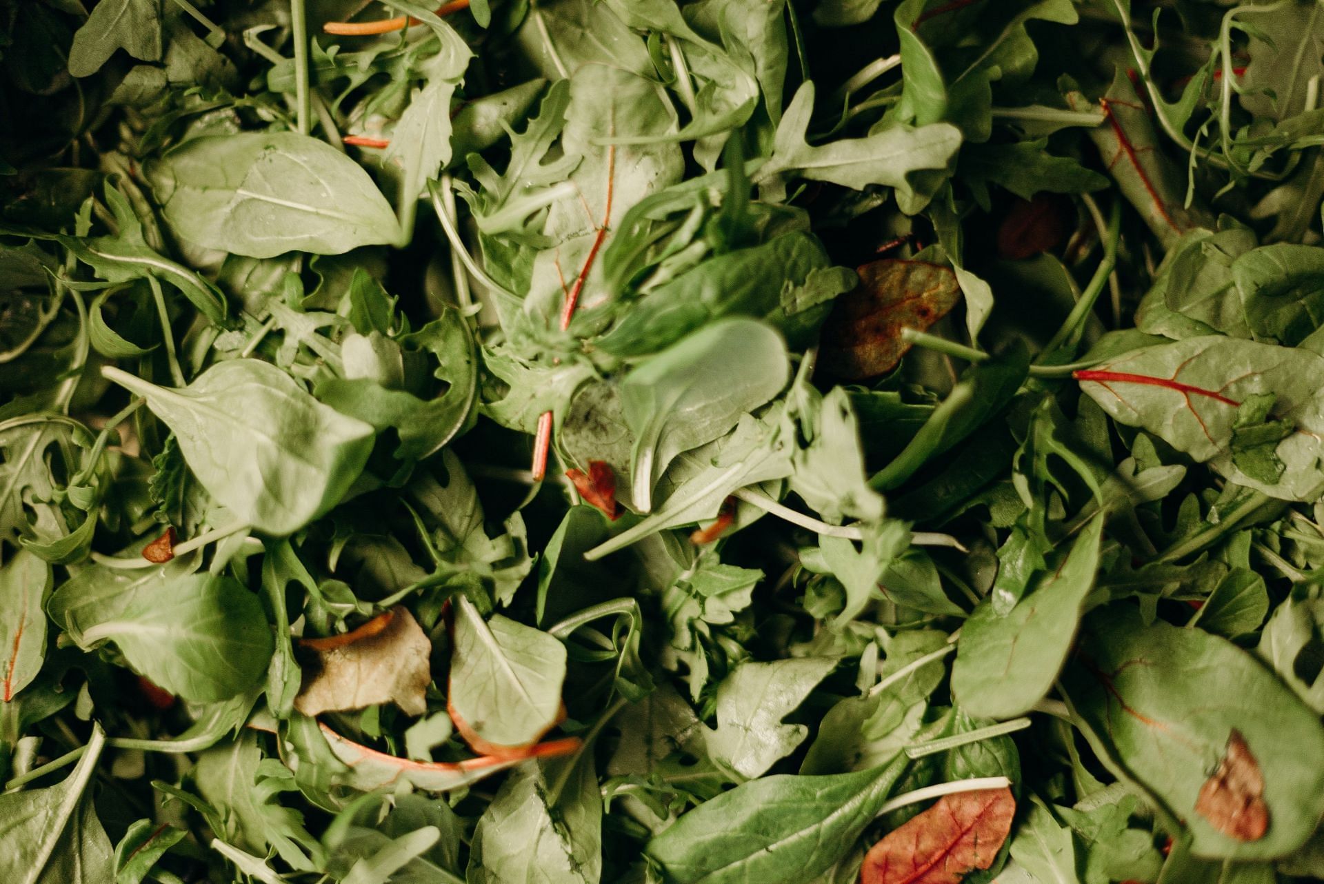 Adding spinach to diet can help the diabetic patients to heal the wounds (Image via Pexels / Cottonbro)