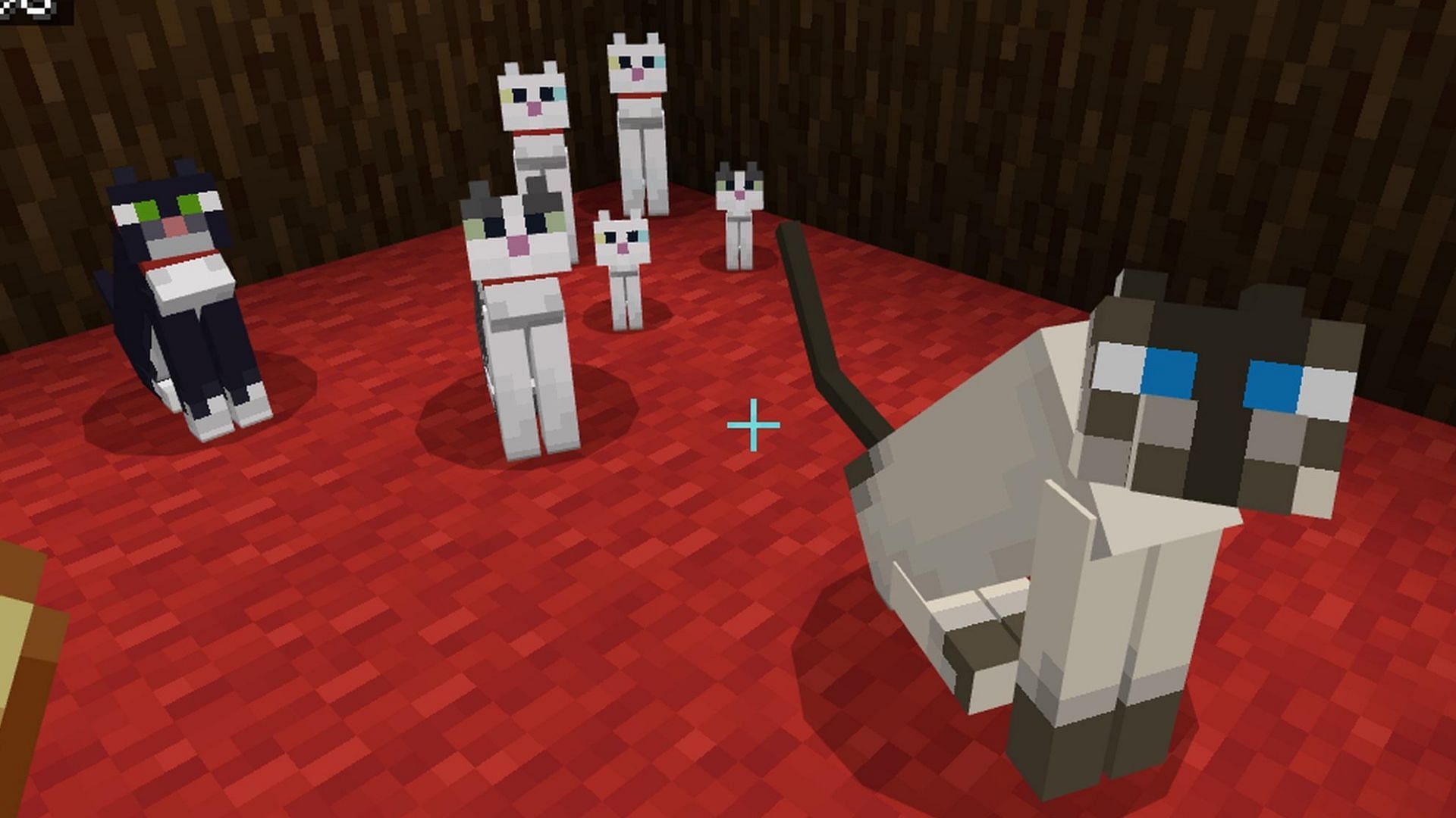 Minecraft Redditor discovers an absurdly large cat amongst other regular sized ones (Image via Reddit/u/360Fanatic)