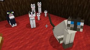 Returning Minecraft player discover a giant cat in their base