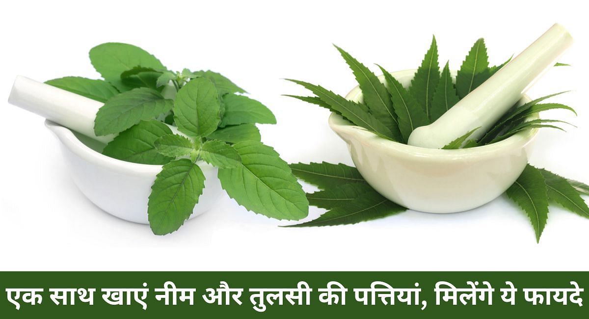 एक साथ खाएं नीम और तुलसी की पत्तियां, मिलेंगे ये फायदे(फोटो-Sportskeeda hindi)