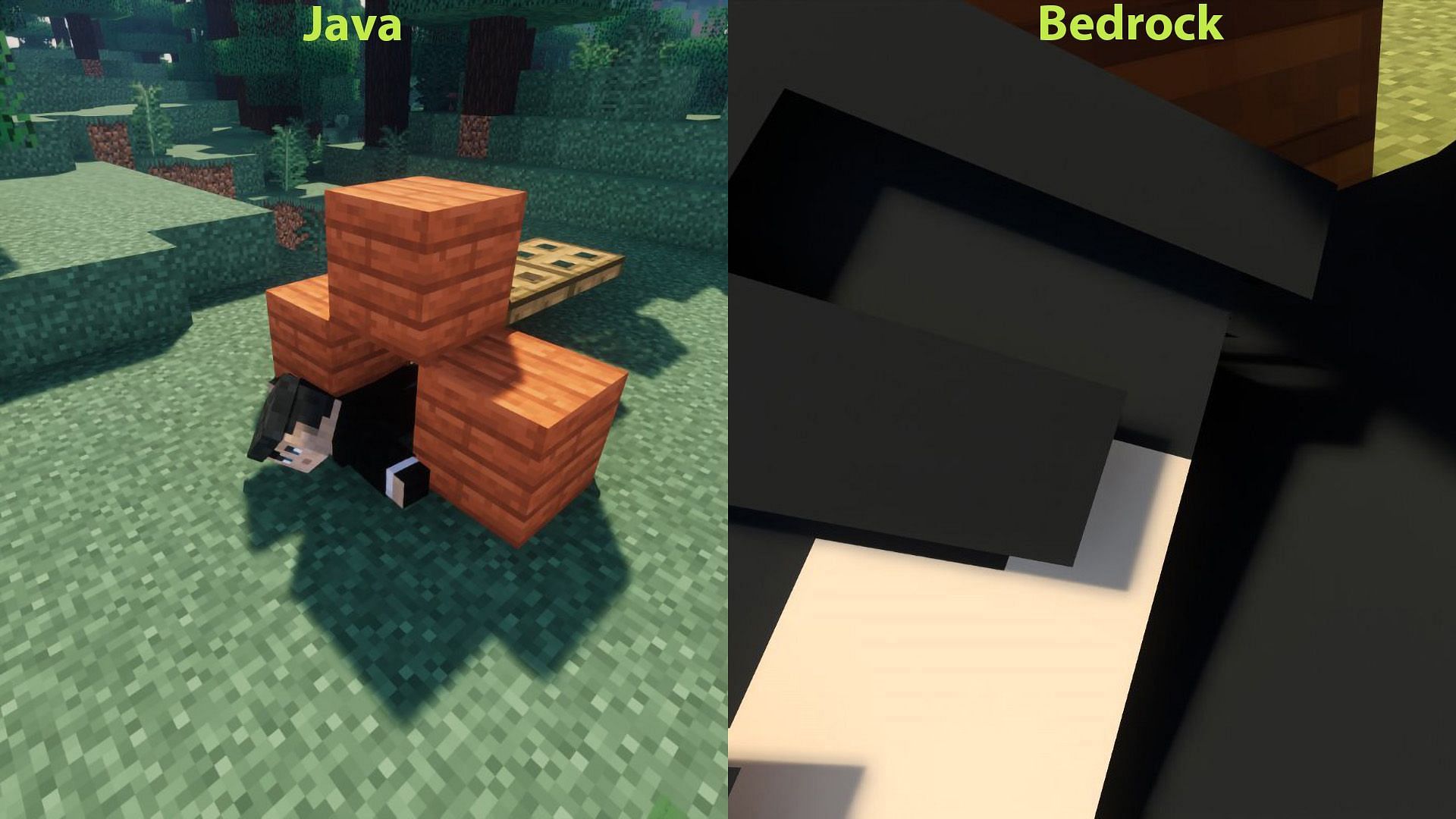 Difference in the camera interpolation at a similar angle between Java and Bedrock (Image via Mojang Studios)