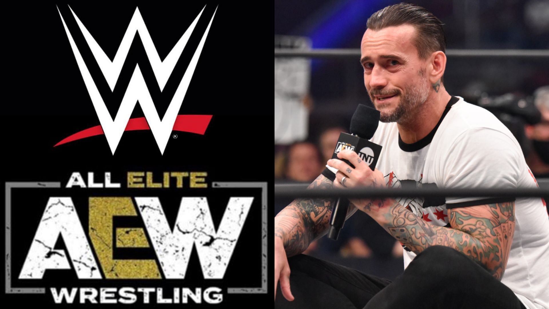 CM Punk was fired from All Elite Wrestling 