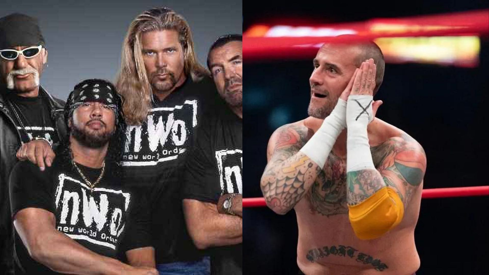 The New World Order and CM Punk