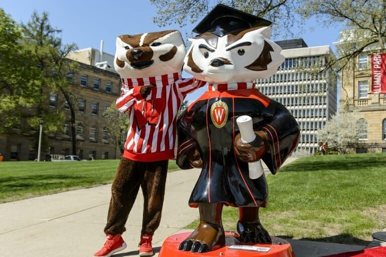 How Many Bucky Badgers Are There?