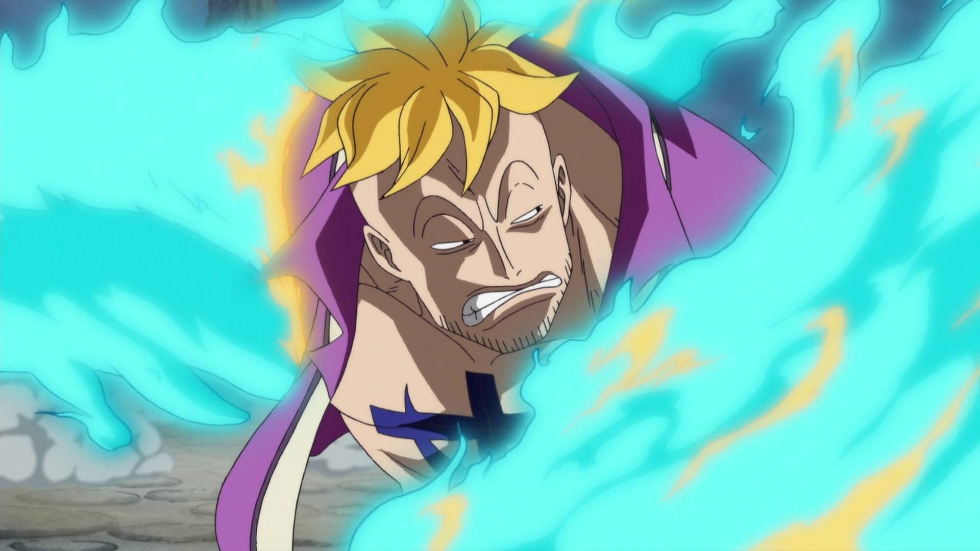 Marco is forty-five years old (Image via Toei Animation, One Piece)