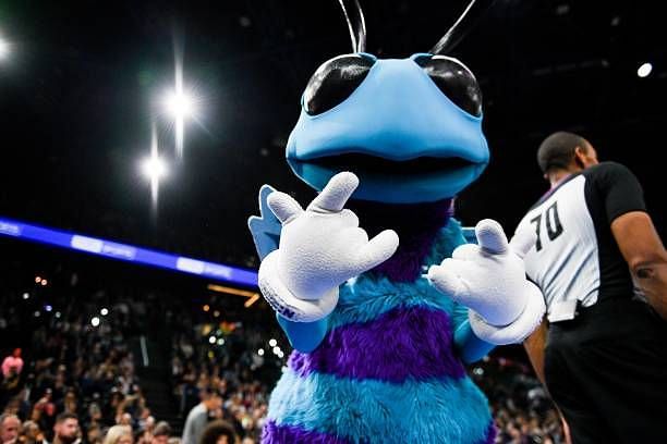 Hugo the Hornet