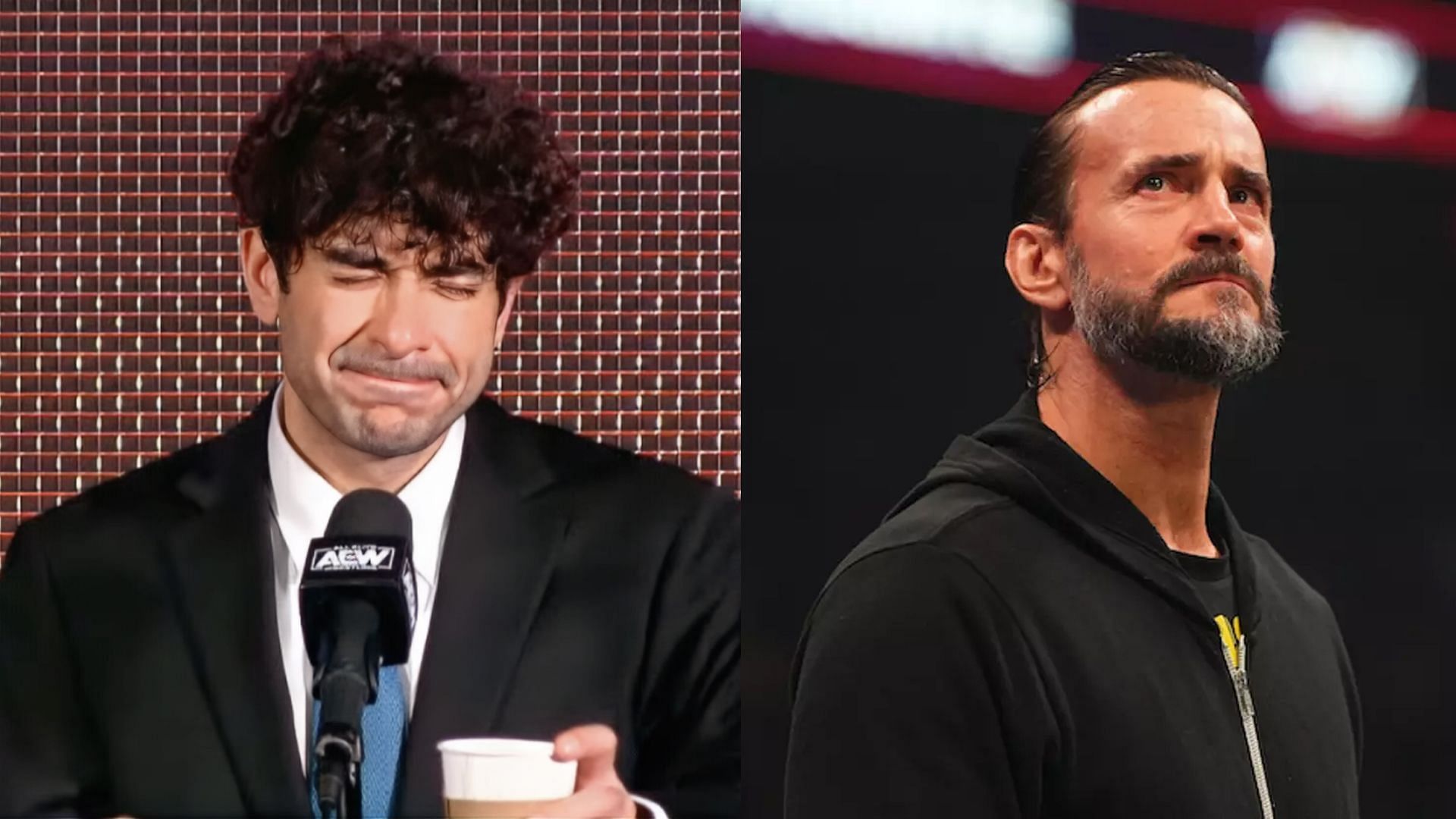 Tony Khan released CM Punk from AEW on September 2, 2023