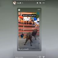 Shaquille O'Neal's Instagram story