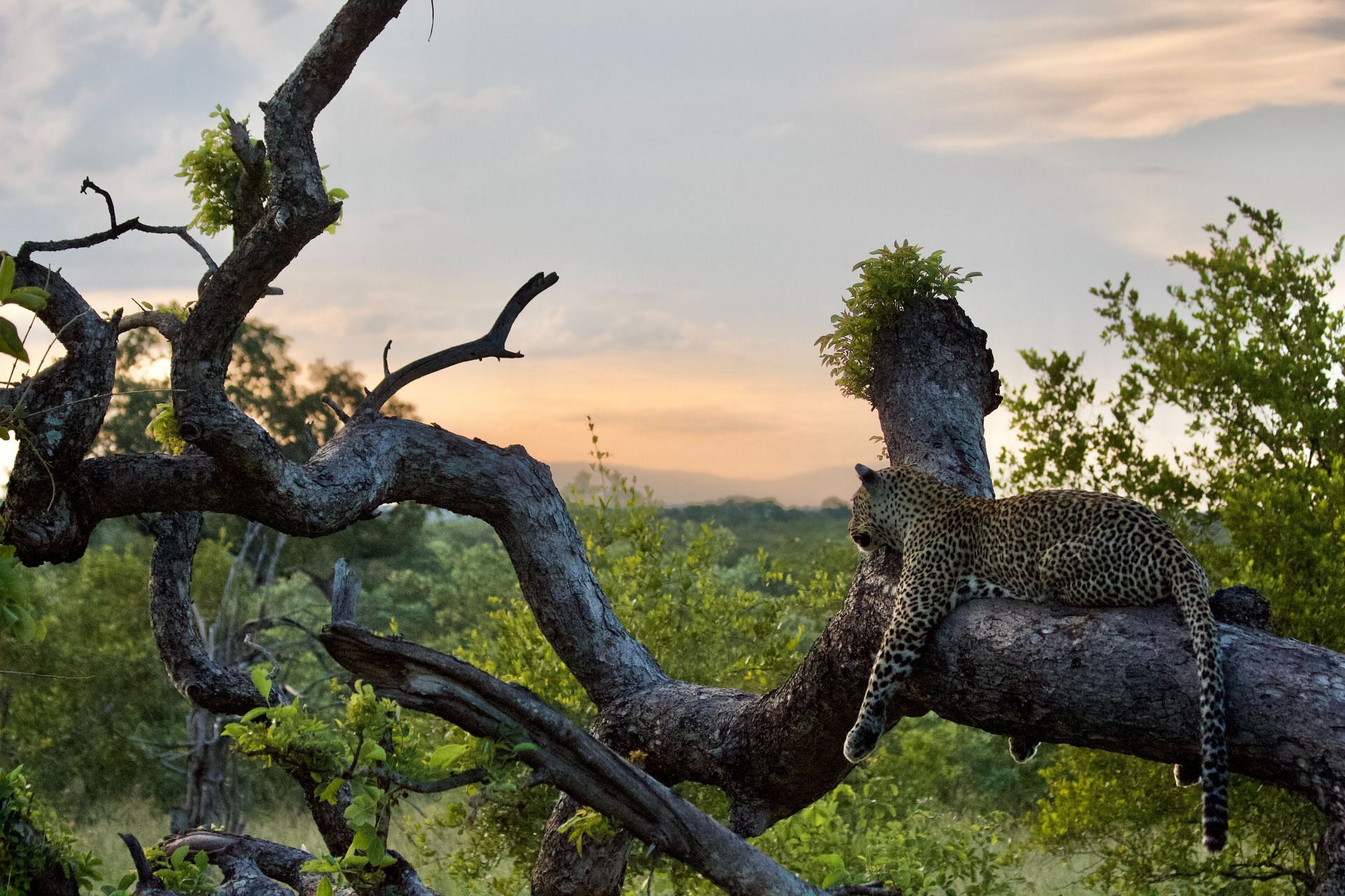 Reconnecting with nature (Image via Unsplash/Zac Dooley)