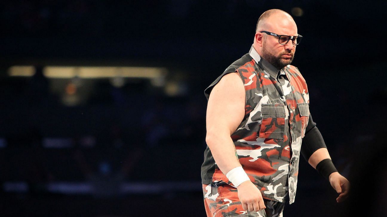 Bully Ray is a multiple time Tag Team Champion in WWE