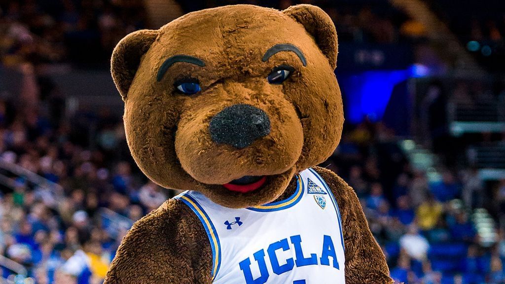 What Kind Of Bear Is Joe Bruin?